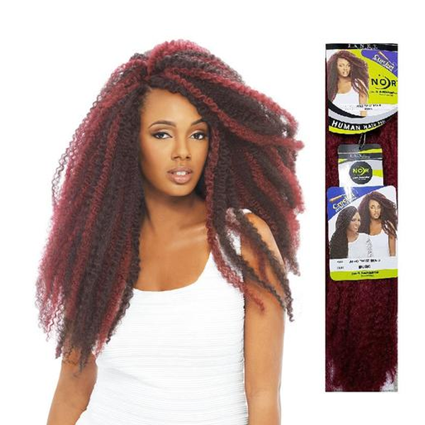 Janet Collection Noir Afro Twist Braid Canada Wide Beauty Supply