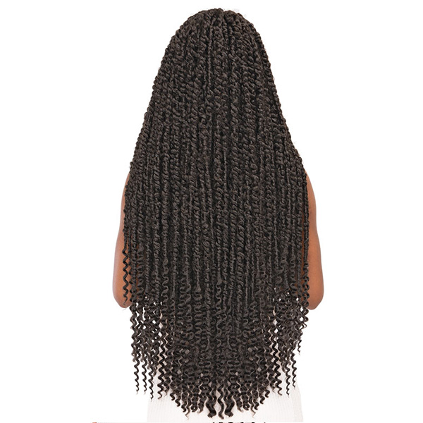 Janet Collection Nala Tress Passion Twist 24 Canada Wide Beauty